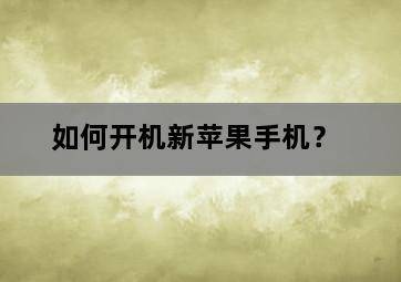 如何开机新苹果手机? 如何开机新苹果手机?-图片2
